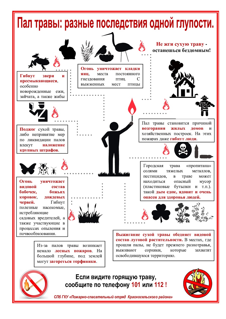 Государственное бюджетное дошкольное образовательное учреждение центр развития ребёнка - детский сад № 33 Красносельского района Санкт-Петербурга - НЕ ПОДЖИГАЙ ТРАВУ!